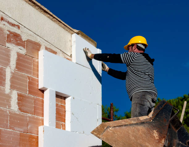 Best Types of Insulation in Dassel, MN