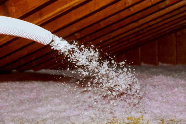 Best Insulation Maintenance and Repair in Dassel, MN