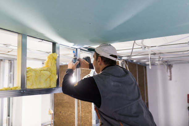 Best Insulation for Specific Applications in Dassel, MN
