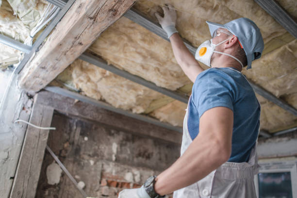 Best Types of Insulation in Dassel, MN